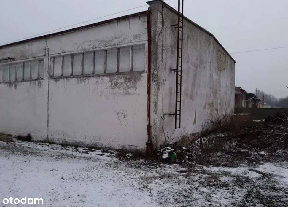 Budynki biurowo- magazynowe PRZETARG- Żnin-5