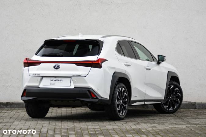 Lexus UX - 6