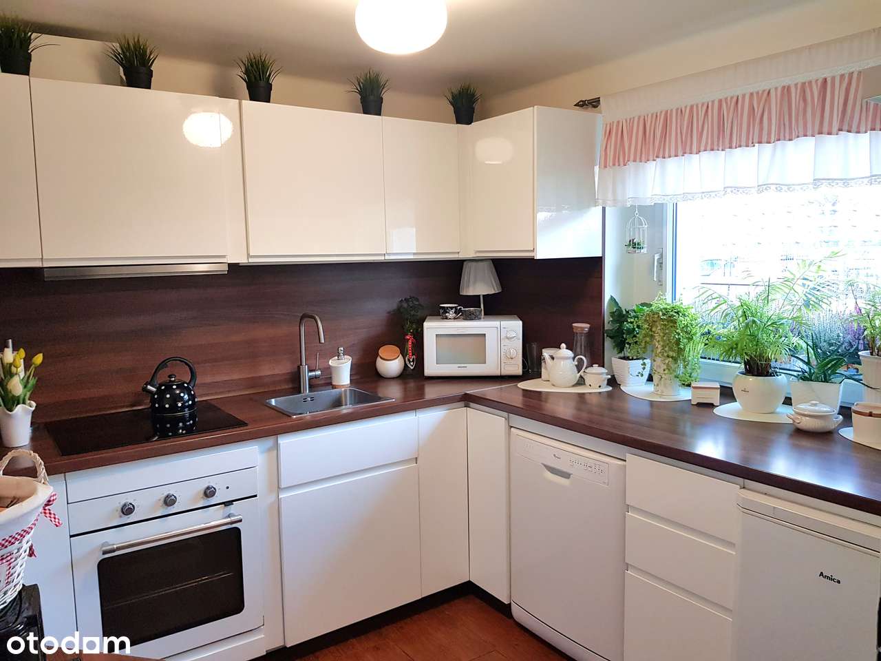 1 lub 2 rodzinny dom z warsztatem w Żorach + pasywny dochód!  Twój? - Pełny obrazek: 4/8