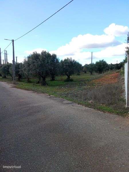 terreno para construçao em ALCANENA - Grande imagem: 5/9