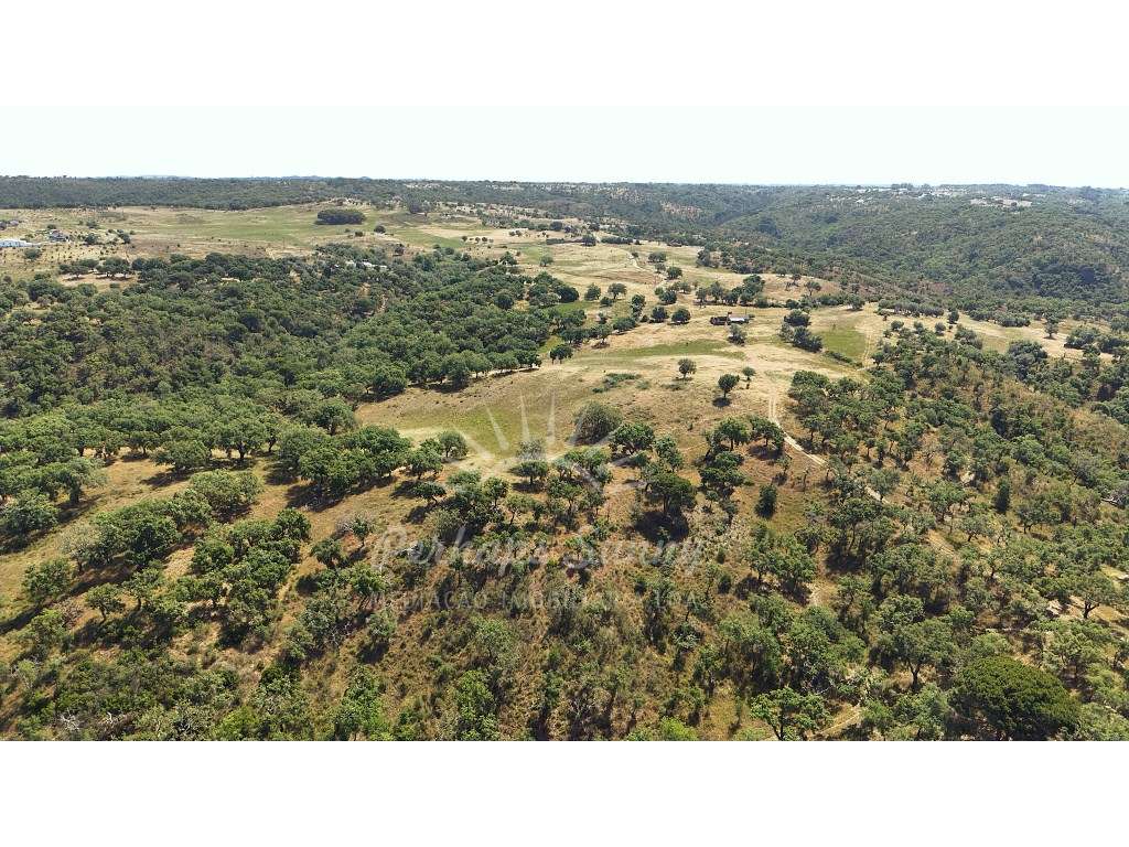Terreno Misto - São Francisco da Serra - Melides-20
