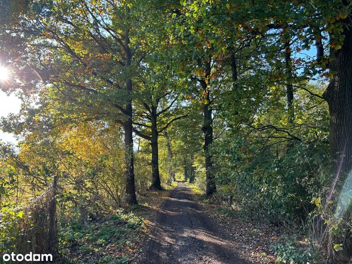4 km z P. Kampinos,  MPZP budowlana, nie  - na osiedlu małych działek - Pełny obrazek: 5/6