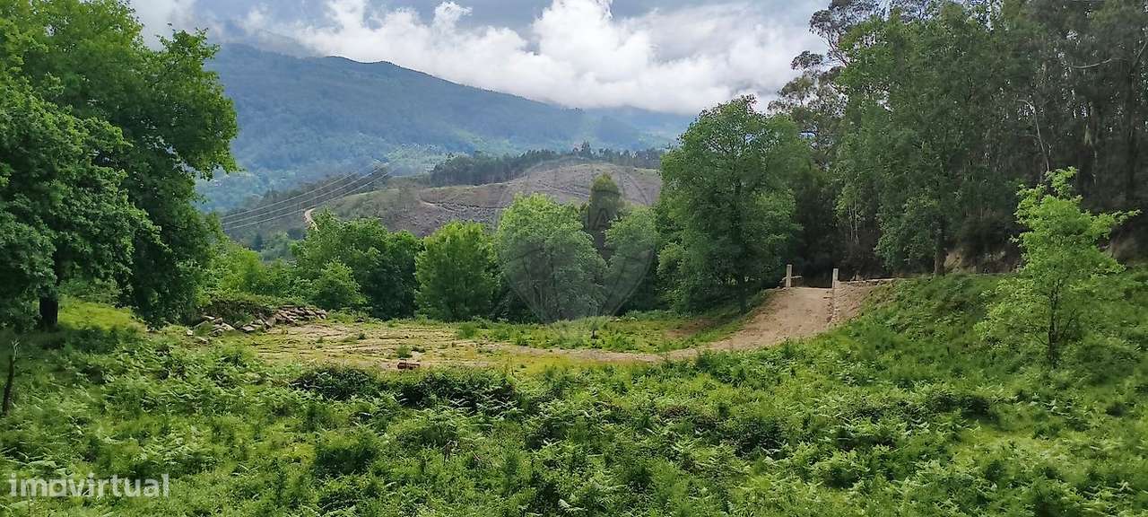 Terreno  para venda-31