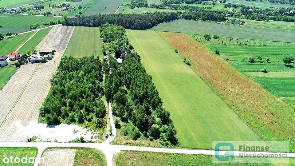 Działka rolna z możliwością zabudowy, Kołacin - Pełny obrazek: 5/16