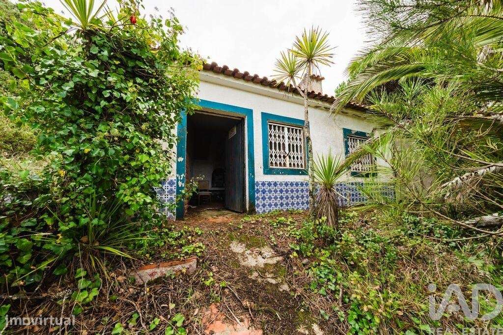 Terreno misto em Foz do Arelho - Grande imagem: 5/23