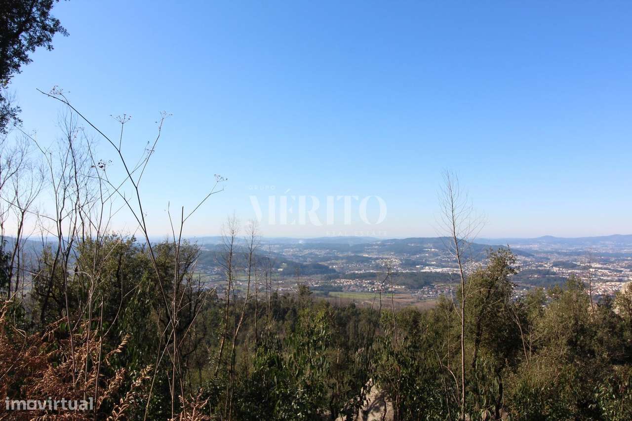 Bouça com 43839 m2 - Grande imagem: 2/5