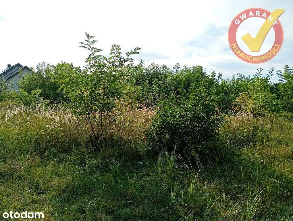 Dziaka 1000m2 na pograniczu Przysieka i S. Torunia - Pełny obrazek: 4/6