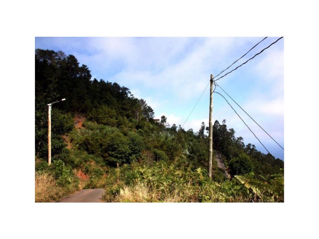 Terreno urbano em Camacha