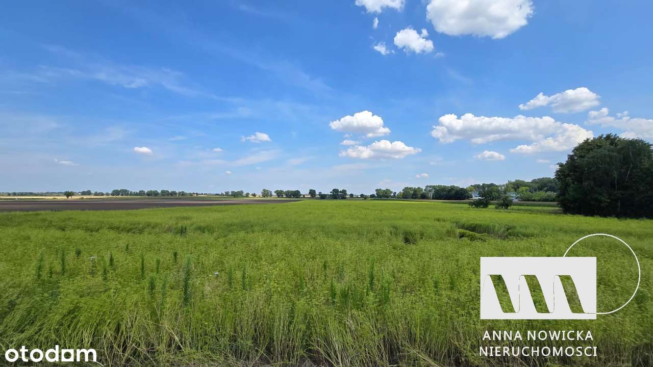 działka budowlana | Ludów Polski | 45 ar