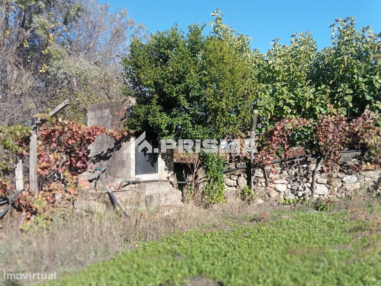 Quintinha para venda com construção rural para venda em Escalos de Bai - Grande imagem: 5/36