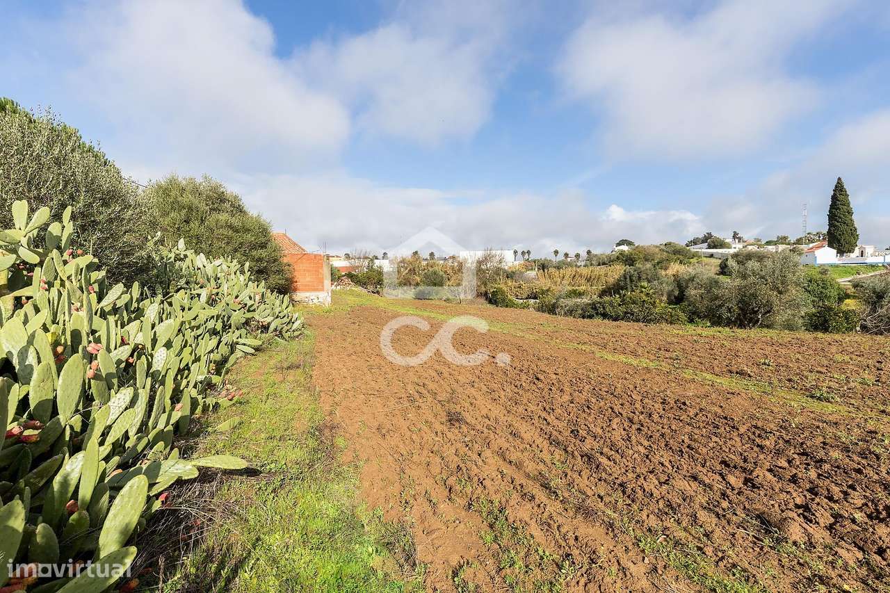 Quinta T5 de 0,9 ha com Moradias e Anexos | Torrão, Alcácer do Sal-38