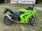 Kawasaki Ninja 250R - 4