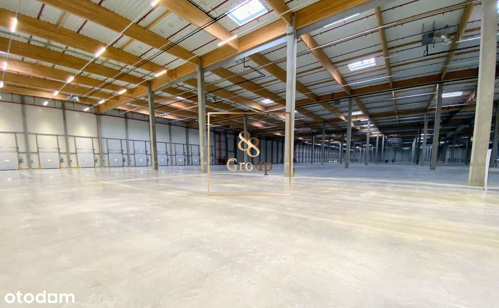 Powierzchnia Magazynowa Duchnów - Pełny obrazek: 5/6