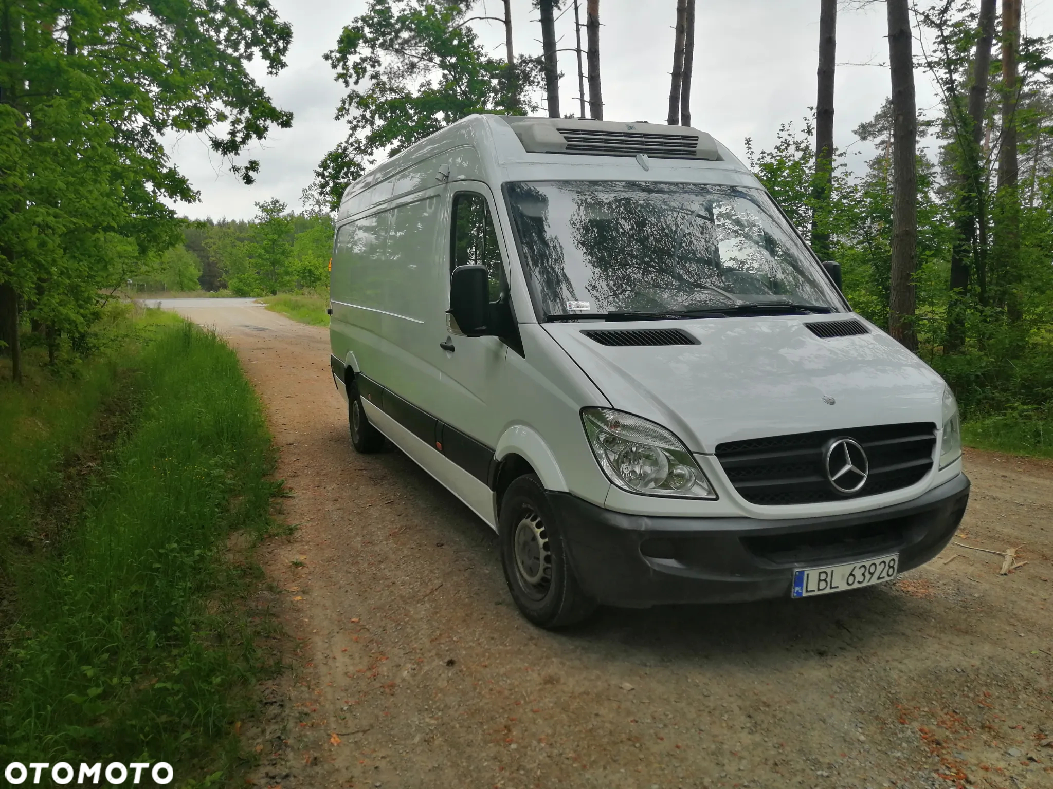 Mercedes-Benz SPRINTER 313 CDI MAX - 2