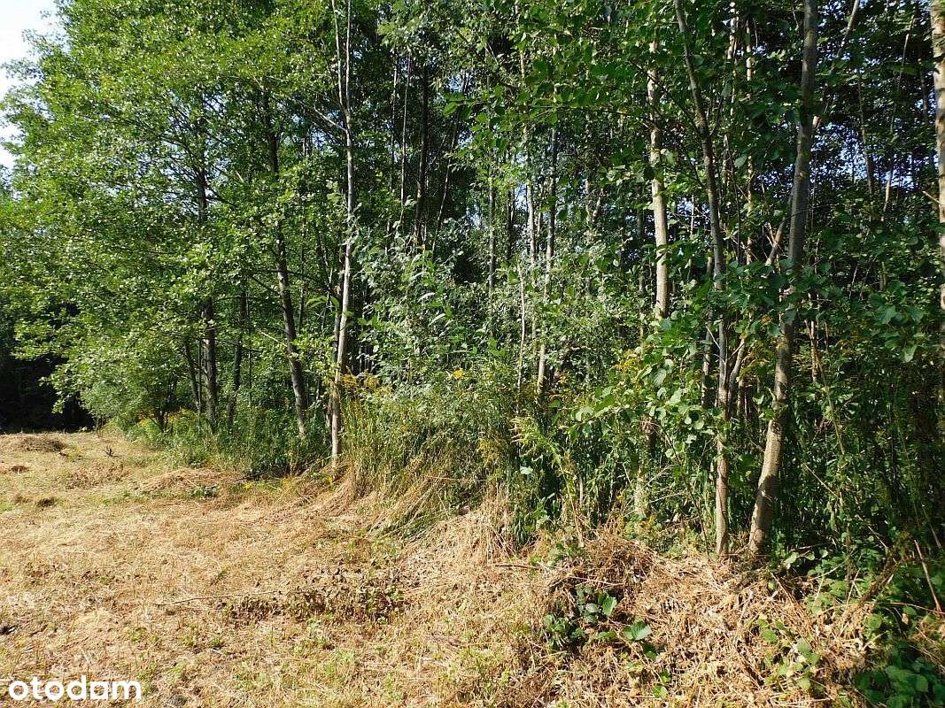 Imielno, działka budowlana - Pełny obrazek: 4/6