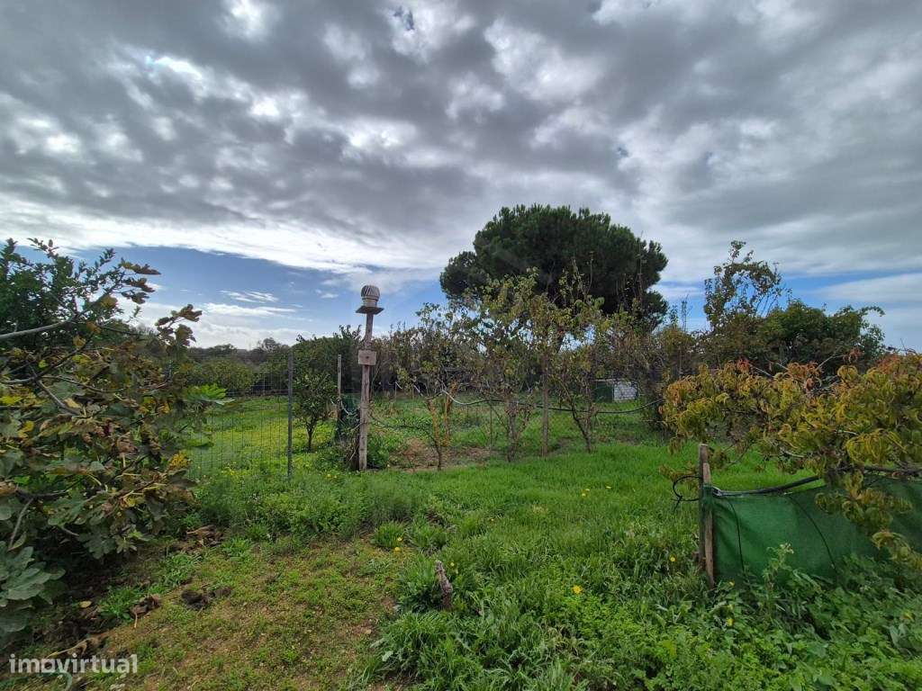 TERRENO PRONTO A USAR - RÚSTICO, PRÓXIMO À VILA SOL - Grande imagem: 3/41