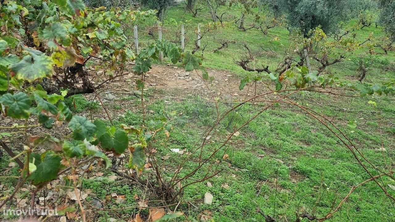 Terreno  para venda