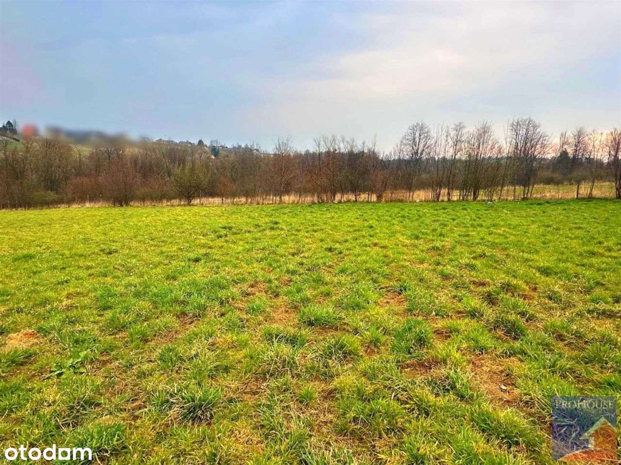 Działka, 1 000 m², Kostrza - Pełny obrazek: 5/5