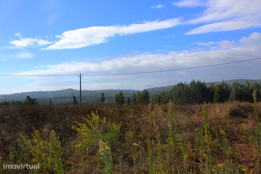 Terreno urbanizável, vista panorâmica, a 5 min. de Rio Maior, Cidral-0