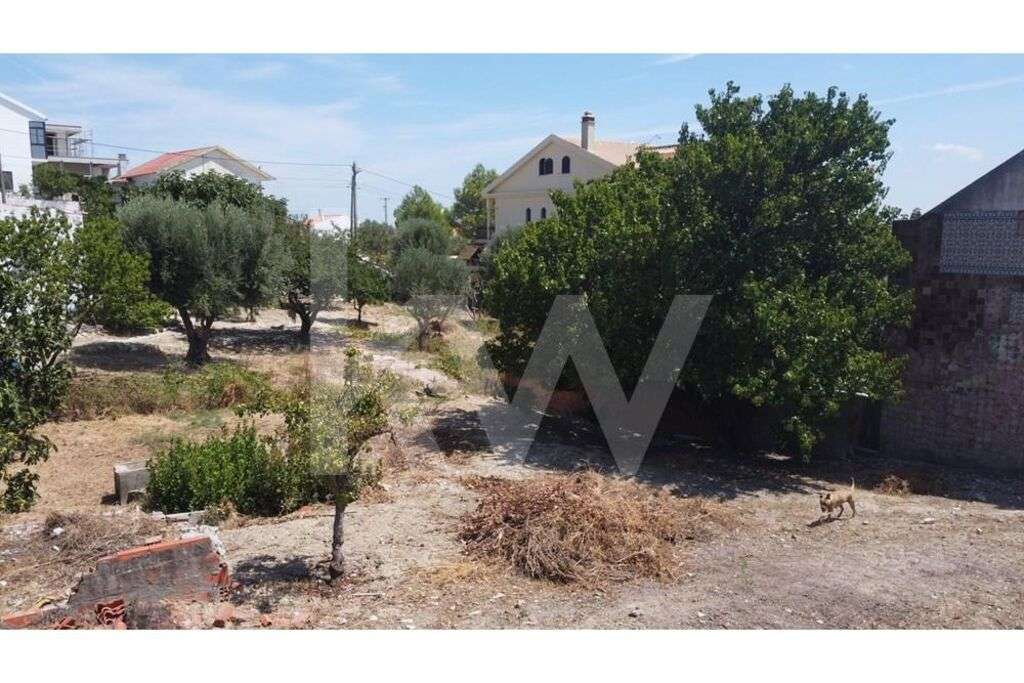 Terreno para construção - Grande imagem: 5/6