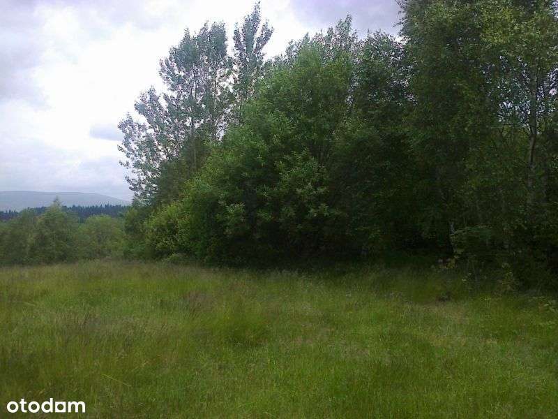 Gmina Milówka, Nieledwia - Pełny obrazek: 5/5