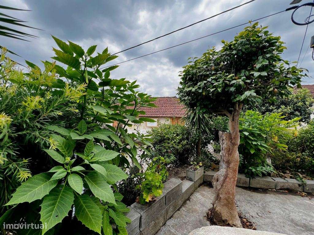 Andar de Moradia T3 com Entrada Independente, Varandas e Sótão  Te...-13