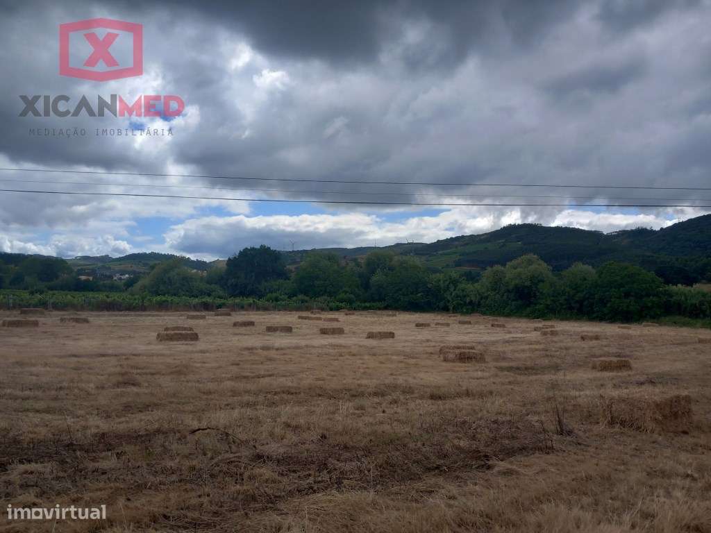 =RESRVADO=
Quinta - Grande imagem: 4/28