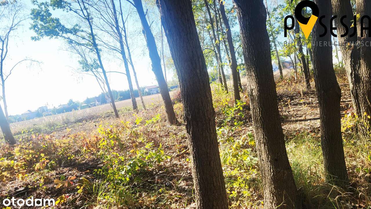 Działka budowlana 1000m2 Gołków wieś-Piaseczno - Pełny obrazek: 2/6