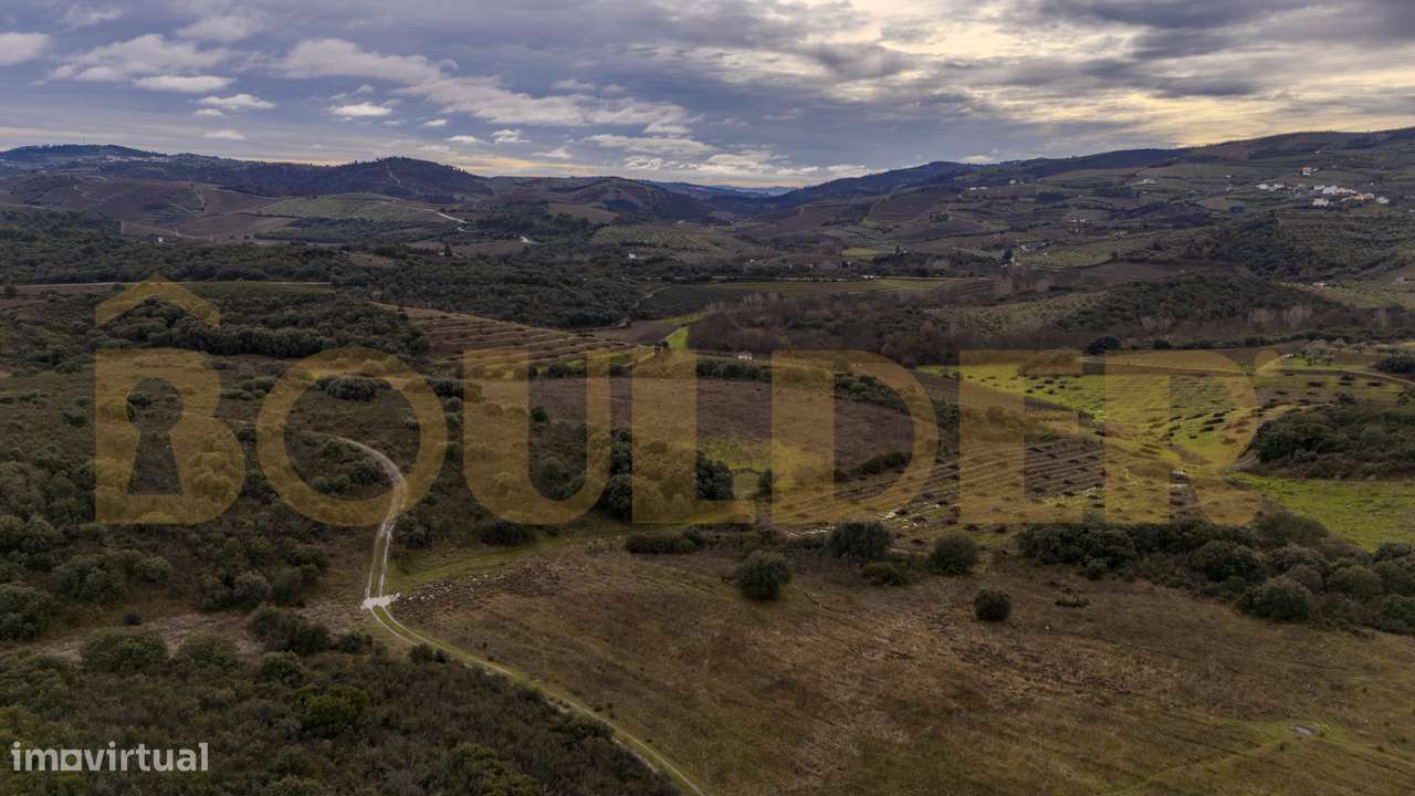 Quinta do Arieiro - Cedovim | Vila Nova de Foz Côa | Douro Superior-25