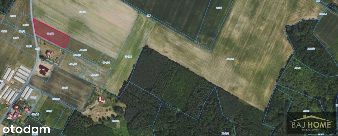 Rogóźno , działka na sprzedaż-3