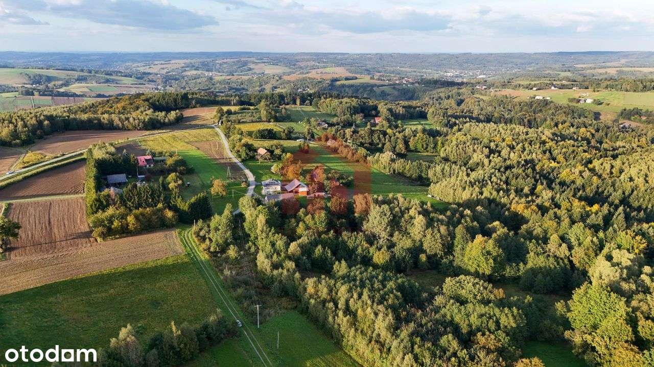 1,47 ha, Wz! dom w lesie? biznes? Jedyna taka!-10