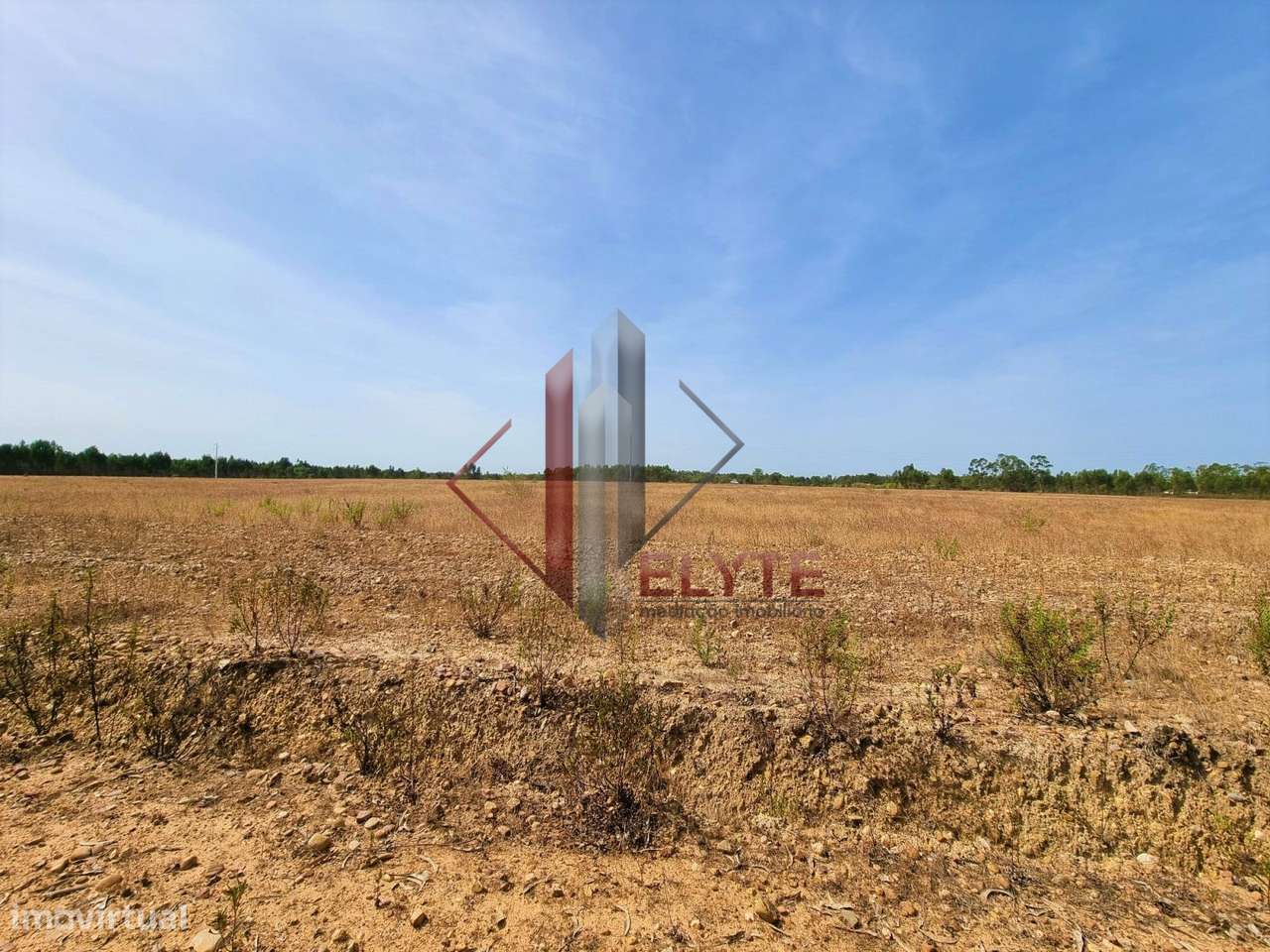 Terreno em Gloria do Ribatejo com 13ha-12