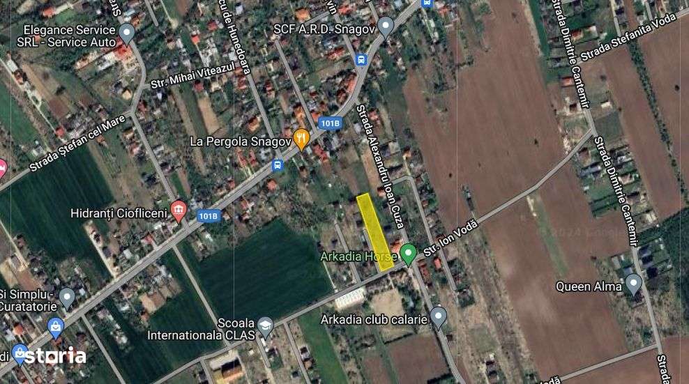 Teren intravilan Snagov pozitionat vizavi de centrul hipic Arcadia! - Imagine principală: 2/10