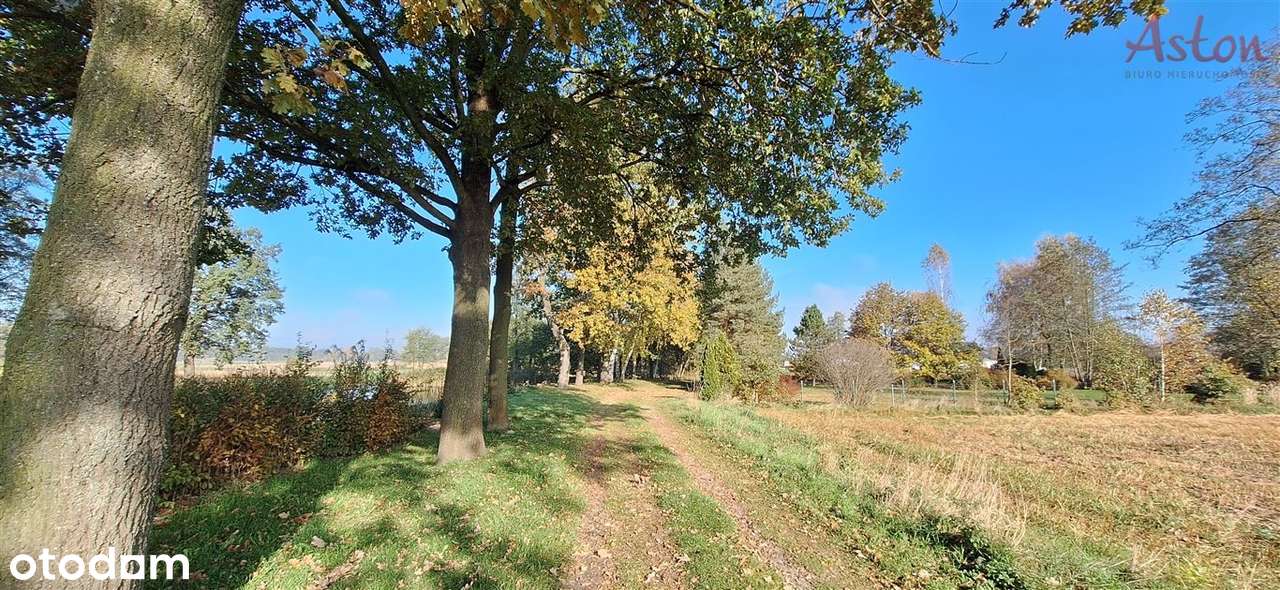 Działka budowlana ul. Zacisze - Pełny obrazek: 5/7