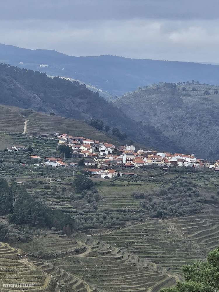Vinhas para venda em Murça - Grande imagem: 4/28