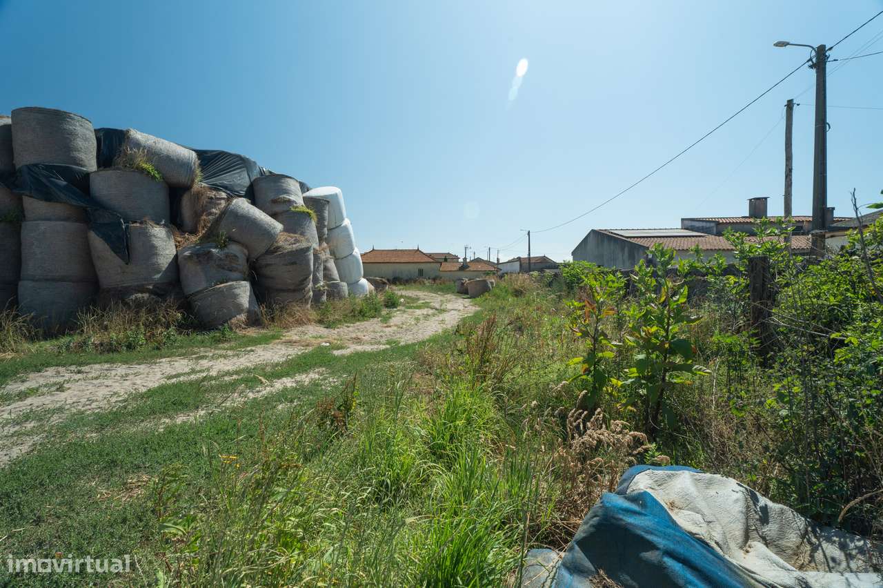 Terreno para venda - Murtosa-12
