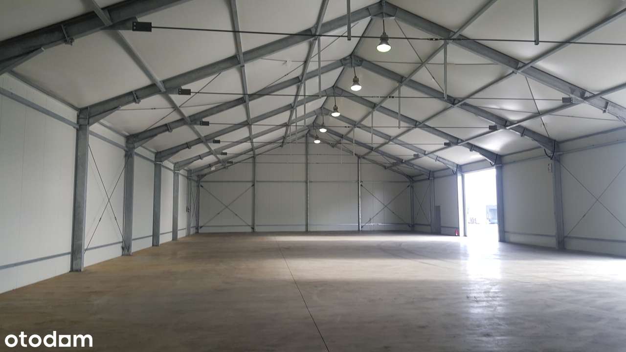 Hala/Magazyn 720 m2 Stargard ul.Nasienna - Pełny obrazek: 4/8