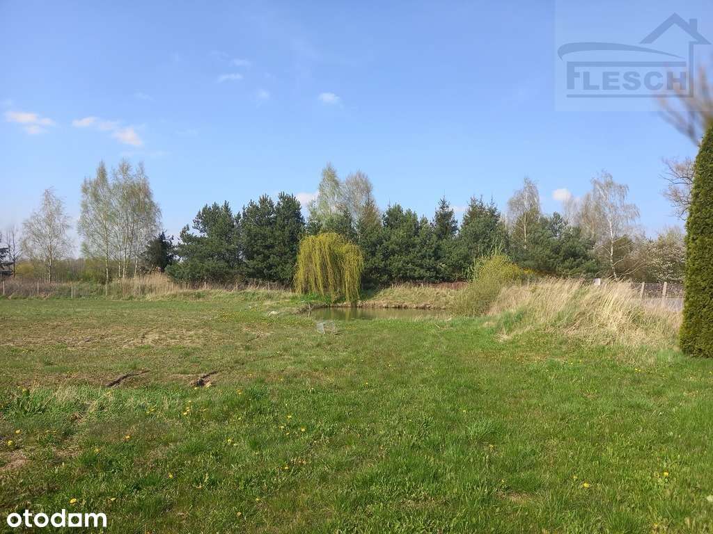 Działka-rolno budowlana Pniewy 15100 m²