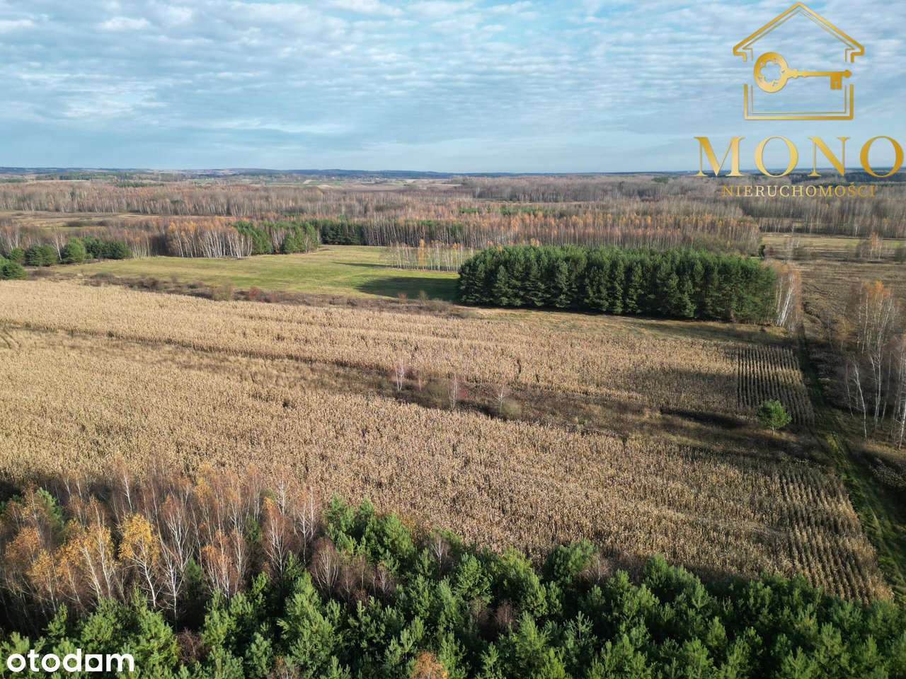 Działka 1,61 ha ok. 10 km od Buska-Zdrój-13