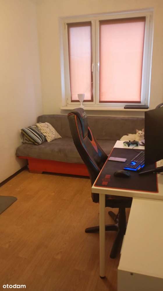 Pełne światła i potencjału mieszkanie na os. Dąbrowszczaków - Pełny obrazek: 5/8