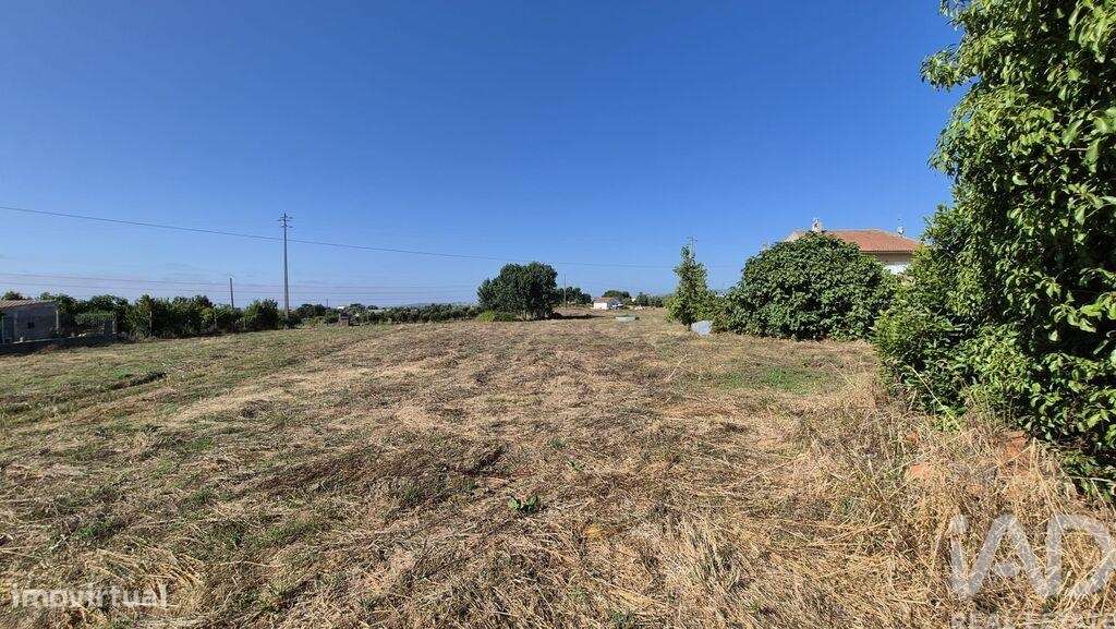 Terreno em Porto de Mós - São João Baptista e São Pedro de 7640,00 m2 - Grande imagem: 5/6