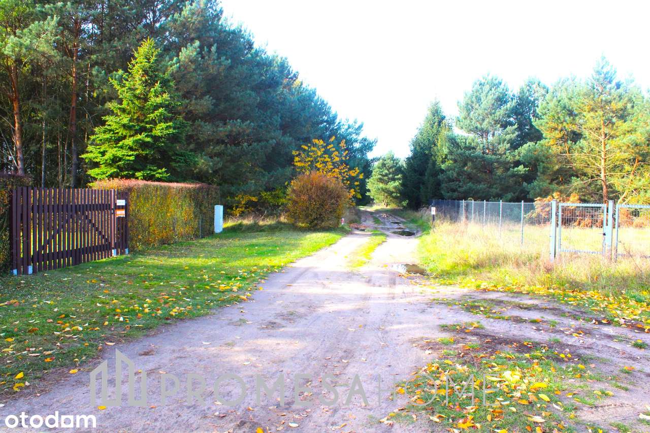 Bednary pięknie położona działka 1226m2 25min od Poznania-1