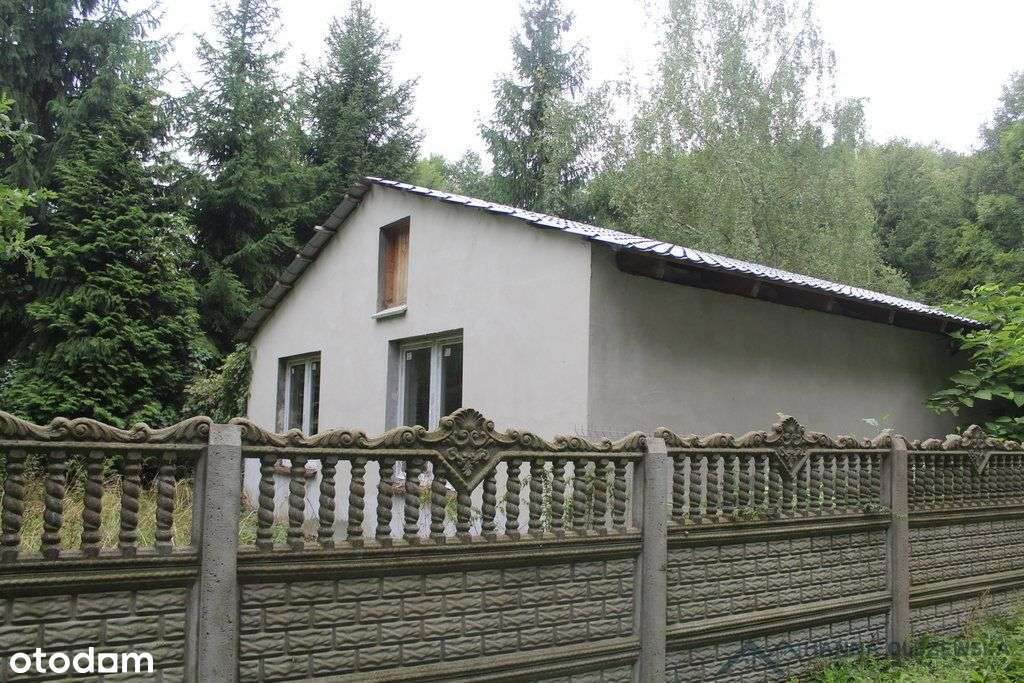 Dwa domy z dużą działką.-10