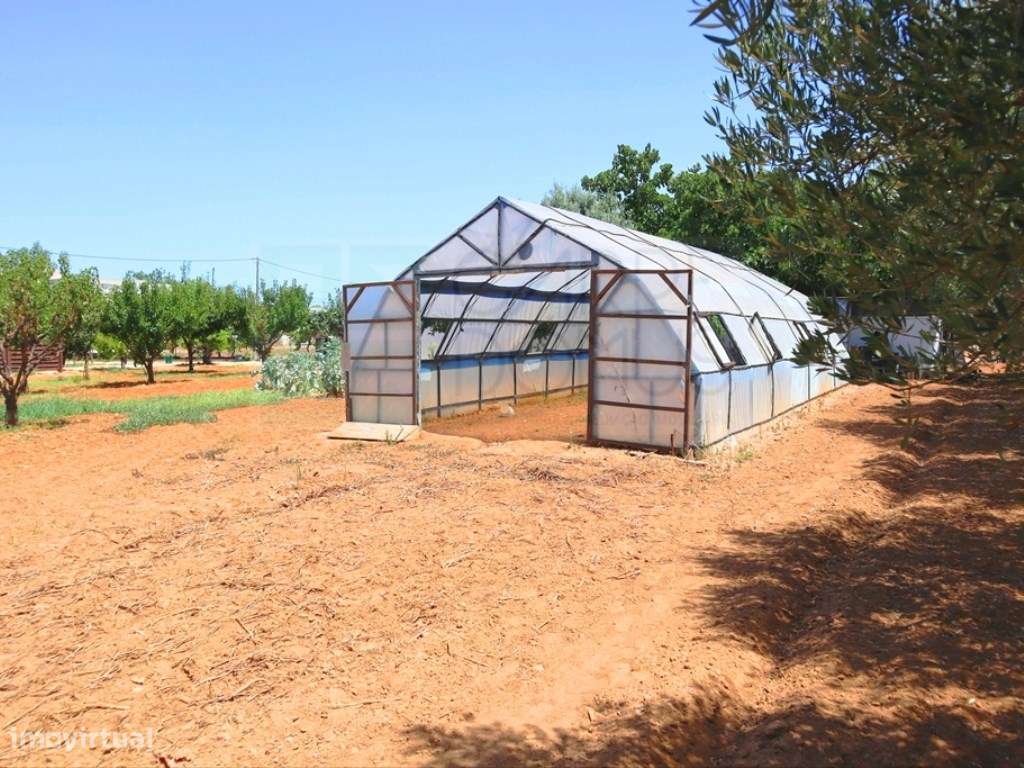 Quinta T4, em Luz de Tavira-47