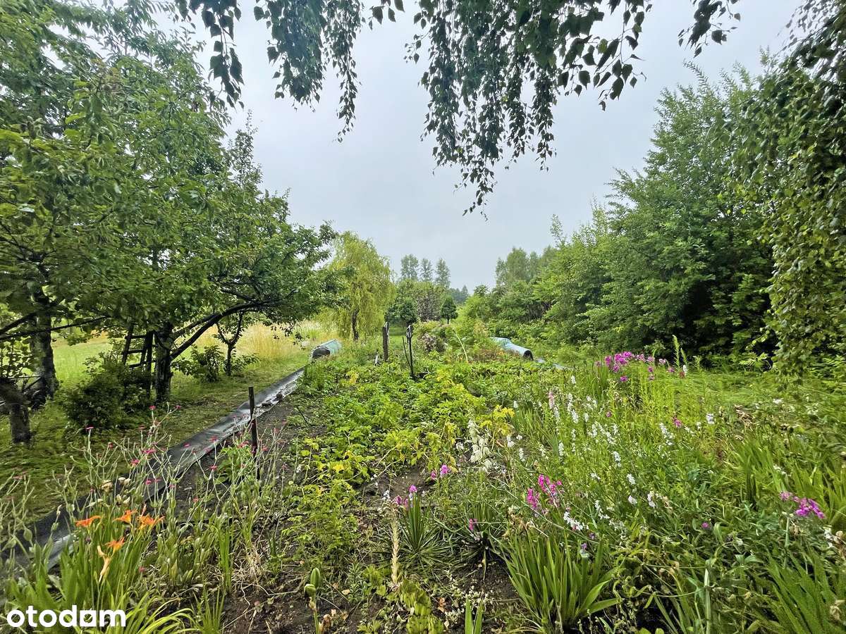 Mieszkanie z dużym ogrodem - Osiedle Przezmark - Pełny obrazek: 4/20