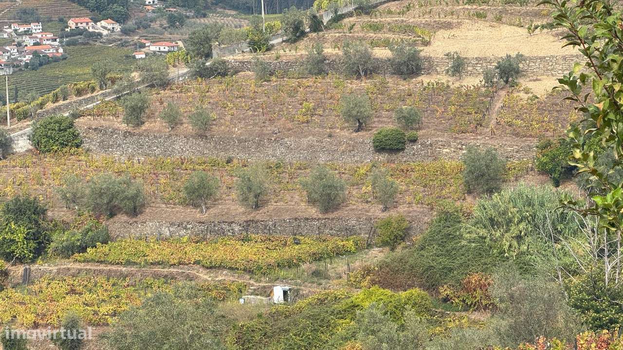 Quinta do Prado em Moura Morta, Régua-11