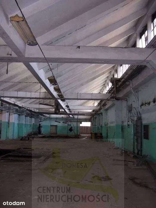 Hale, magazyny i powierzchnie produkcyjne 13000 m2-6