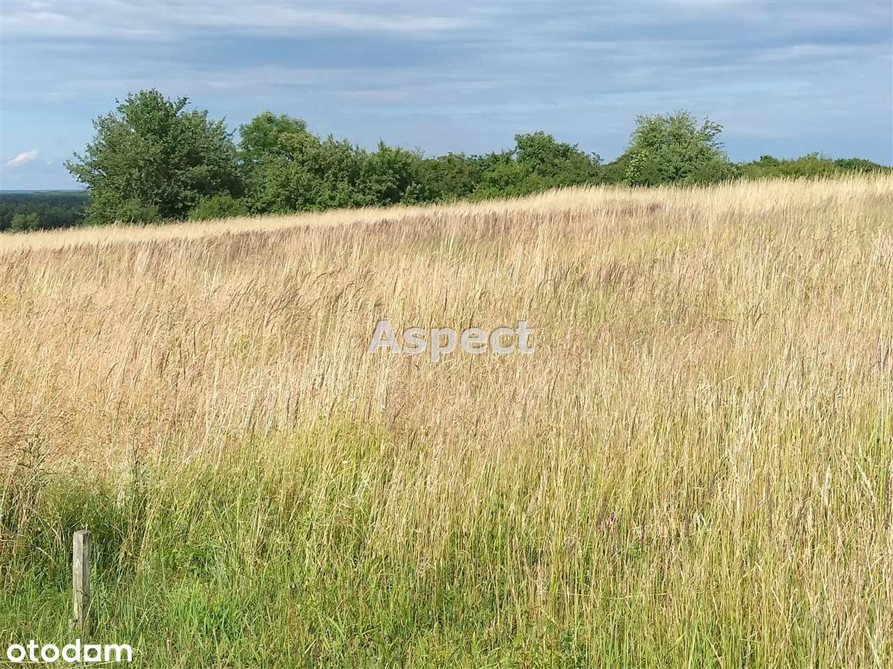 Duża działka na wzgórzu - Pełny obrazek: 5/8