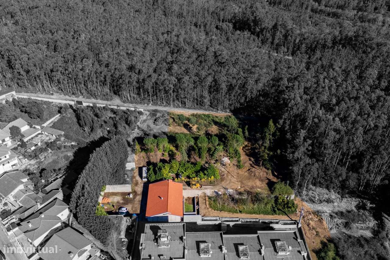 QUINTA COM TERRENO de 6500 m2 com projeto aprovado para 2 Moradias - Grande imagem: 5/14