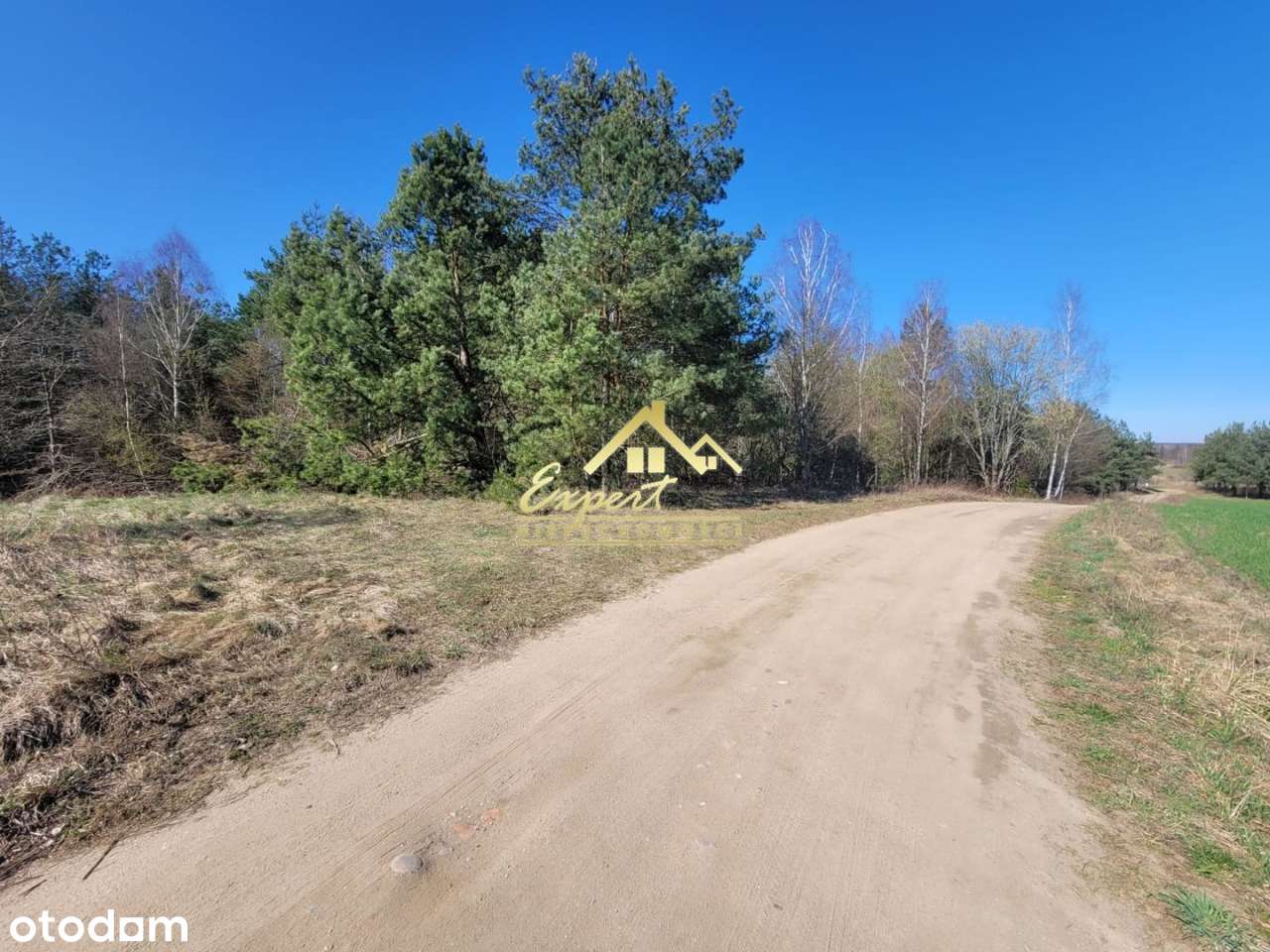 Sprzedam atrakcyjną działkę w Kotkowie - Pełny obrazek: 5/5